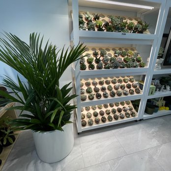 Mari’s Urban Garden - Nurseries & Gardening Near Me - Honolulu, Hawaii