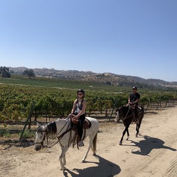 Central Coast Trailrides - Cass Vineyard - Horseback Riding Near Me