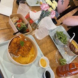 Chicken katsu, pork gyoza, edamame, duck ramen
