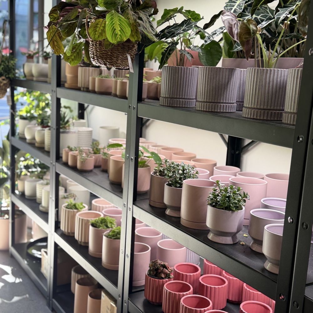 Bloomsgiving - Florists Near Me - Redwood City, California