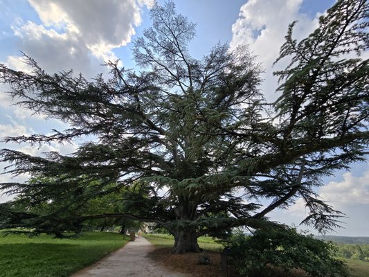 Domaine de Chaumont-sur-Loire by null