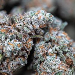 Elevate Maine Weed Dispensary Yarmouth