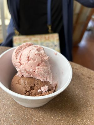 Arcata Scoop by null