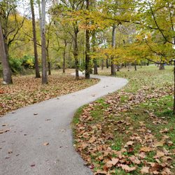Fenton City Park