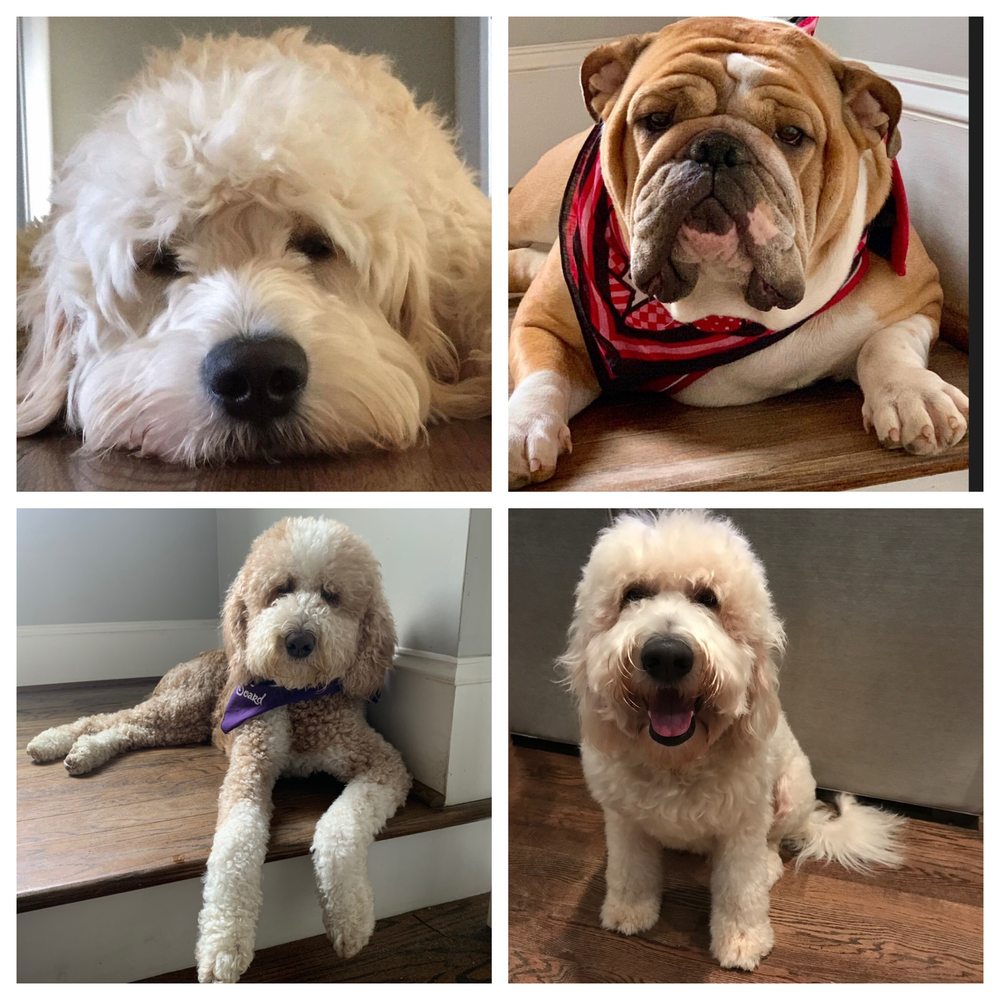 EMPHIL KENNELS Updated September 2024 3945 Grady Smith Rd