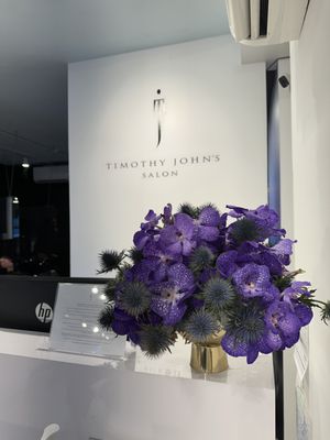 Timothy John's Salon NYC by null