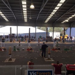 Royal Melbourne Show - Wood chopping