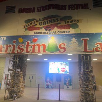 Christmas Lane - Local Flavor Near Me - Plant City, Florida