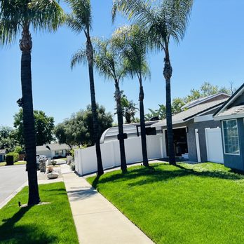 Green Leaf Landscaping - Corner yard - Tree Services Near Me Green Leaf Landscaping - Corner yard - Tree Services Near Me