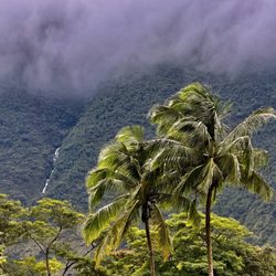 Waipio Valley Shuttle - One of the many cascading waterfalls visible from the valley floor