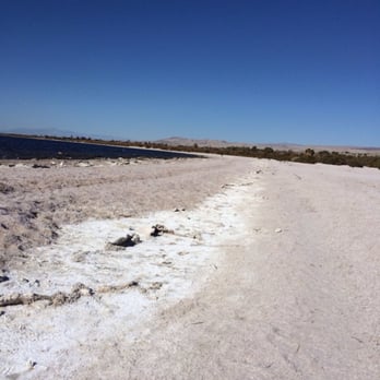 Salton Sea State Recreation Area - Landmarks & Historical Buildings Near Me - Mecca, California Salton Sea State Recreation Area - Landmarks & Historical Buildings Near Me - Mecca, California
