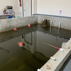 Ebi Ebi Shrimp Fishing