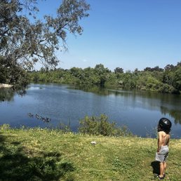 View of the lake