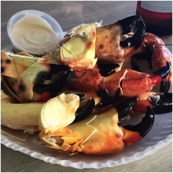The Mar Bar - Wine Bars Near Me - Tavernier, Florida The Mar Bar - Wine Bars Near Me - Tavernier, Florida