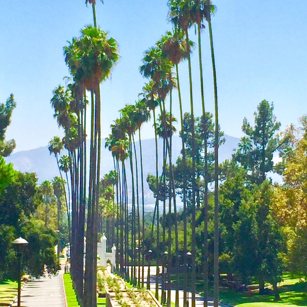 Brand Park - Parks Near Me - Glendale, California