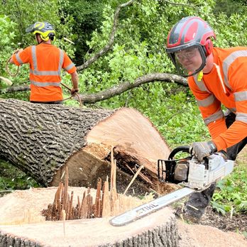 Arborall Tree Service - Tree Services Near Me - Flowery Branch, Georgia Arborall Tree Service - Tree Services Near Me - Flowery Branch, Georgia