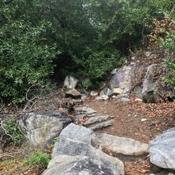 Lewis Falls