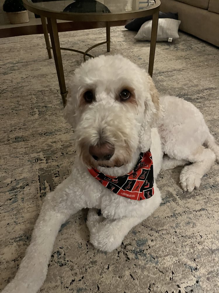 WAGBNB Updated August 2024 82 Photos & 18 Reviews 3305 116th St