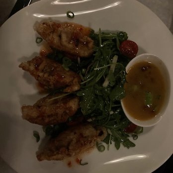 Nova Kitchen - Duck Dumplings - American Near Me - Blauvelt, New York