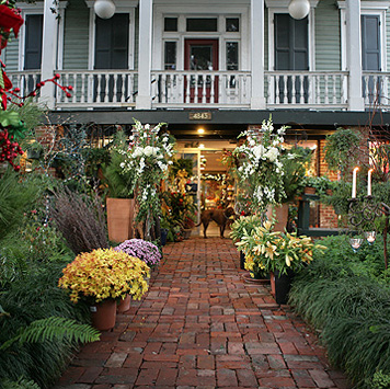 Mitch's Flowers by null