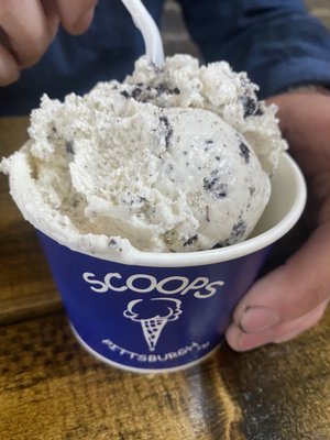 Scoops in Carnegie by null
