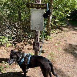 Point Beach State Forest - Ice Age Trailhead