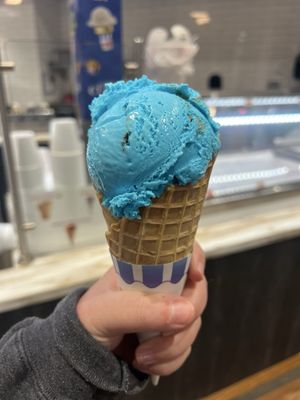 Chaney's Dairy Barn by null