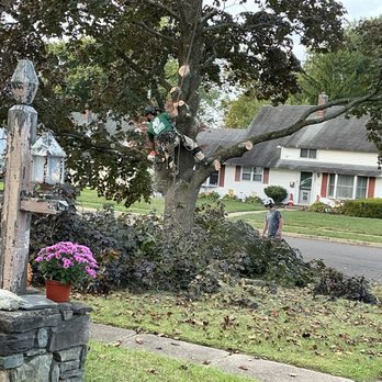 John Pond’s Tree Service - Tree Services Near Me - Newportville, Pennsylvania John Pond’s Tree Service - Tree Services Near Me - Newportville, Pennsylvania
