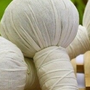 Photo of Path of Life Healing Center