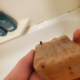 Cherry Wooder Ice soap Cherry Wooder Ice soap