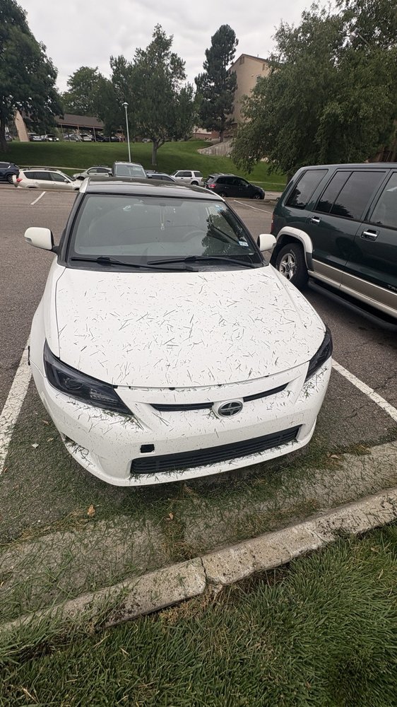 BrightView Landscape Services - tree service in Denver, CO