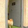 Photo of Le Bouclard