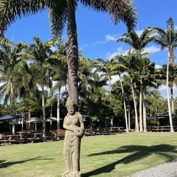 Kihei Food Oasis - Food Trucks Near Me - Kihei, Hawaii Kihei Food Oasis - Food Trucks Near Me - Kihei, Hawaii