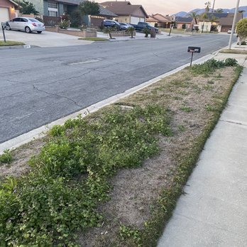 Simple Lawn Service - Lawn Services Near Me Simple Lawn Service - Lawn Services Near Me