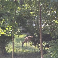 Bryn Mawr Park