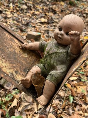 Doll's Head Trail by null