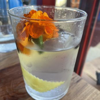 Red Window - Gin and Tonic - Cocktail Bars Near Me - San Francisco, California Red Window - Gin and Tonic - Cocktail Bars Near Me - San Francisco, California