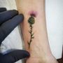 Photo of Desert Rose Tattoo