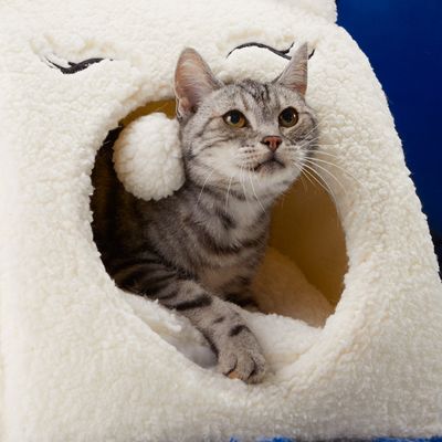 Petco by null