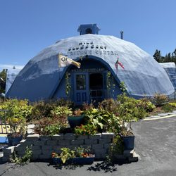 Wild Blueberry Land