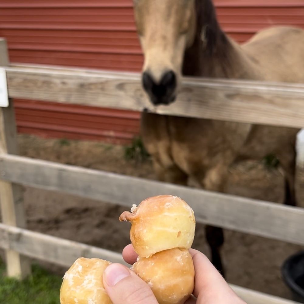 Donut holes Donut holes