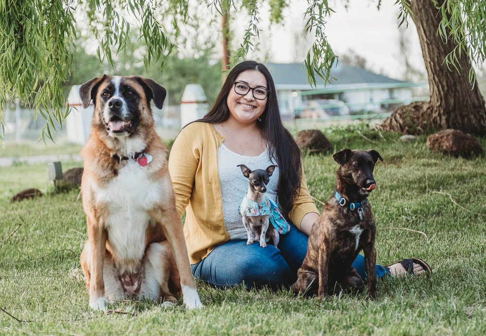 ELLIE’S PLAYHOUSE Johnstown, Colorado Dog Walkers Phone Number Yelp