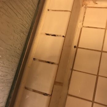 Courtyard by Marriott Phoenix West/Avondale - Moldy nasty shower!! - Hotels Near Me - Phoenix, Arizona