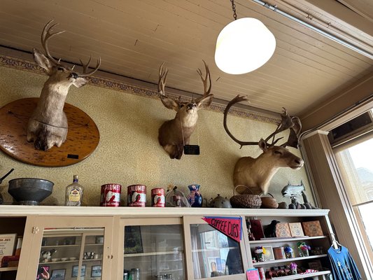 Poppa Joe's by null