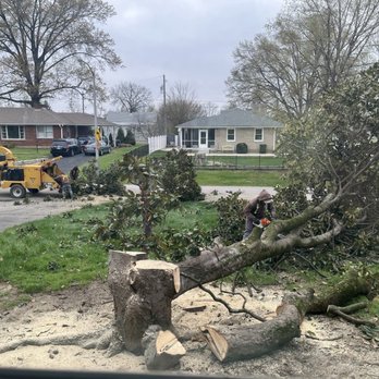 Lopez Tree Service - Removing tree - Tree Services Near Me - Jeffersontown, Kentucky Lopez Tree Service - Removing tree - Tree Services Near Me - Jeffersontown, Kentucky