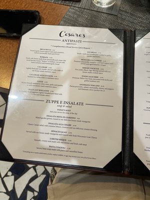 Cesare At the Beach by null