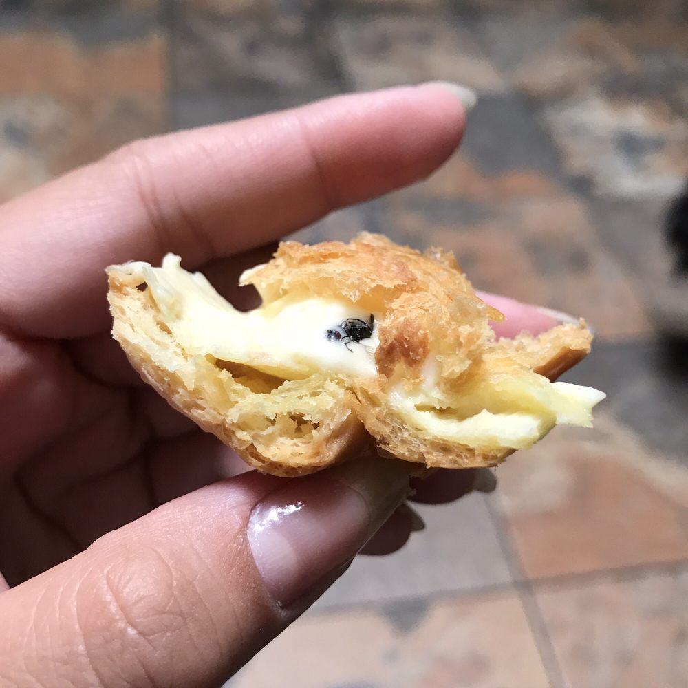 Mochi - A side of protein and fiber in my creme puff - Ice Cream & Frozen Yogurt Near Me - Irvine, California Mochi - A side of protein and fiber in my creme puff - Ice Cream & Frozen Yogurt Near Me - Irvine, California