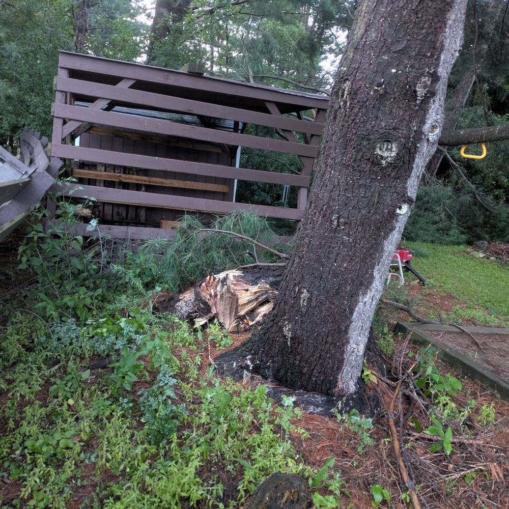 All Affordable Tree Service & Landscapes - Before - Tree Services Near Me - Eau Claire, Wisconsin
