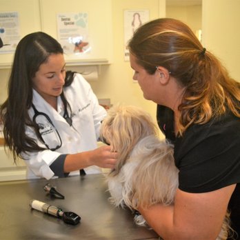 stagecoach veterinary clinic