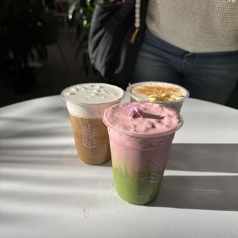Selva Coffee House - Peep show - Coffee Roasteries Near Me - San Diego, California